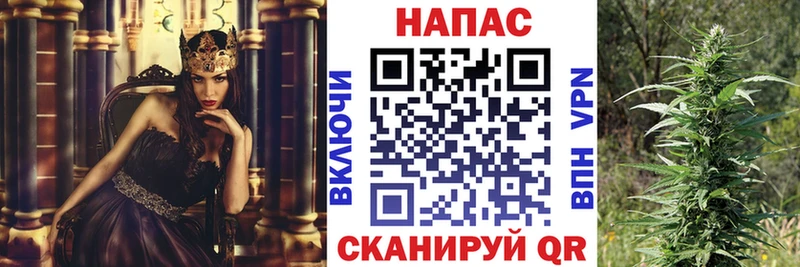 Конопля Bruce Banner  сколько стоит  Белый 